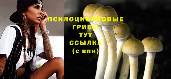 тгк Пересвет