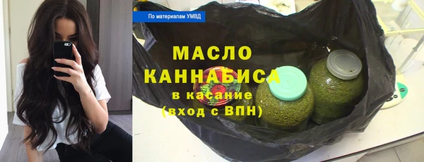 тгк Пересвет