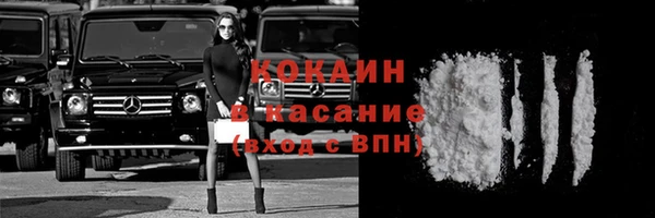 тгк Пересвет