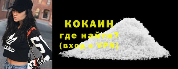 тгк Пересвет