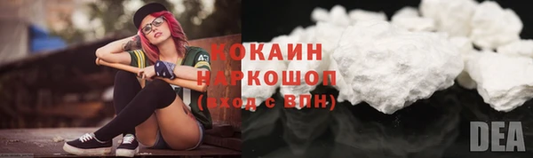 тгк Пересвет