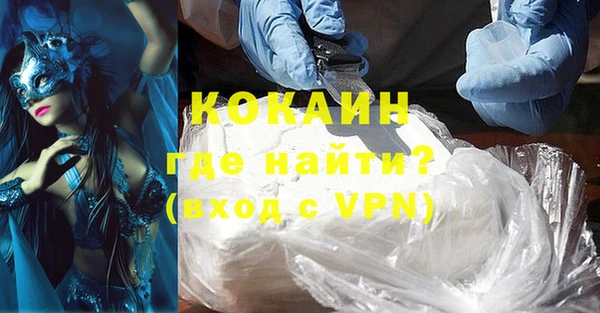 тгк Пересвет