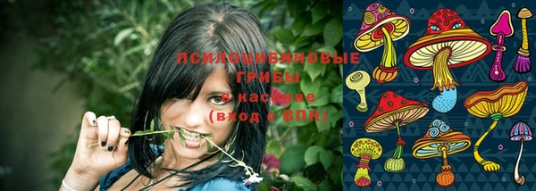 тгк Пересвет