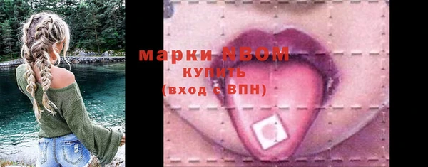 тгк Пересвет