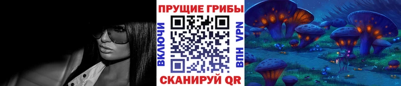 Псилоцибиновые грибы ЛСД KRAKEN ТОР Апшеронск