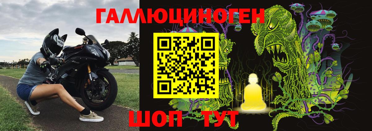 Псилоцибиновые грибы мицелий Апшеронск