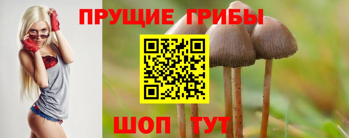 Галлюциногенные грибы мухоморы  Вход с VPN  Апшеронск 